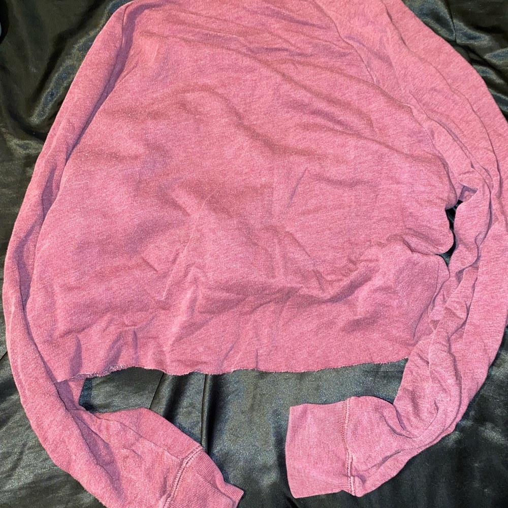 VS Pink Cropped Hoodie